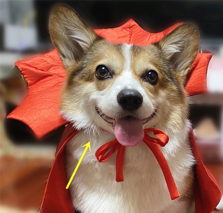 Pet Costume – Vampire King Cape