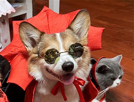 Pet Costume – Vampire King Cape